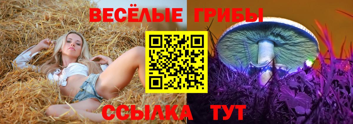 Галлюциногенные грибы мицелий Мценск