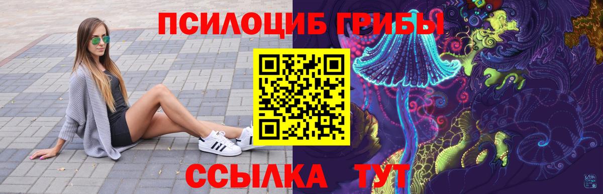 Мценск  Галлюциногенные грибы Magic Shrooms  наркота  Вход с VPN 